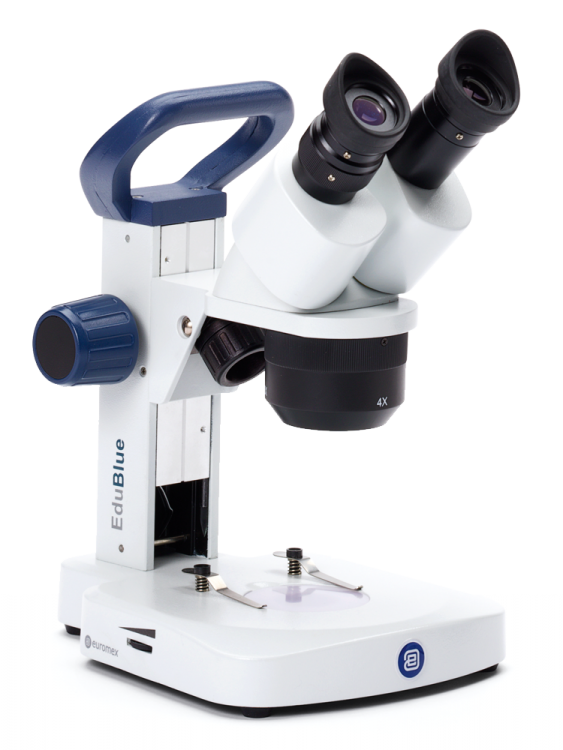 Euromex EduBlue Triplo 2