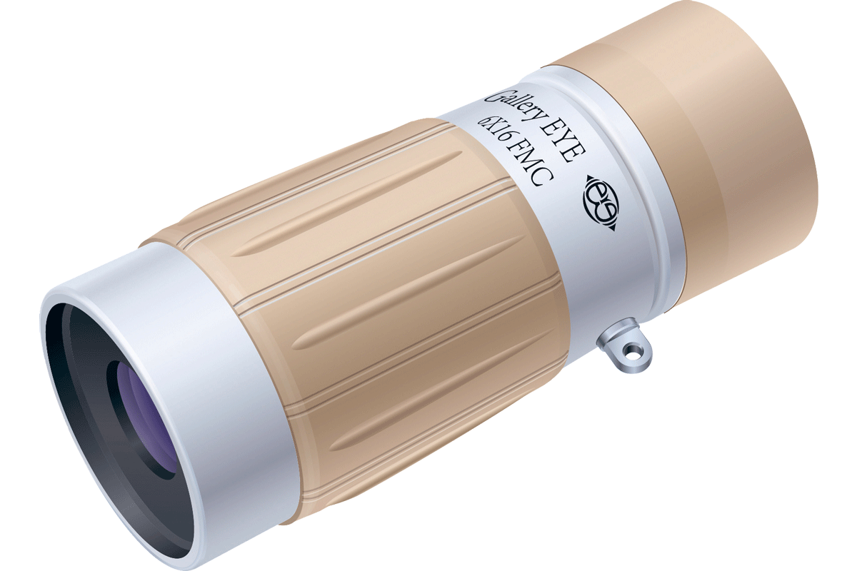 Kenko Tokina GalleryEye 6x16 PC