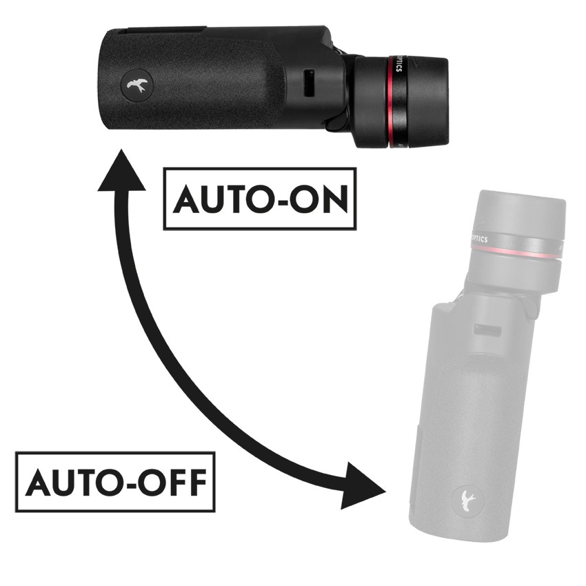 Kite APC STABILIZED - 12x30 Concept-Terrain