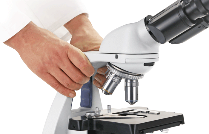 Euromex bScope 1152-EPL - 40x/100x/400x/1000x