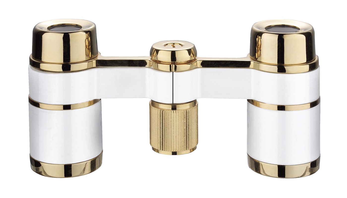 Olympus 8X21 RC II WP