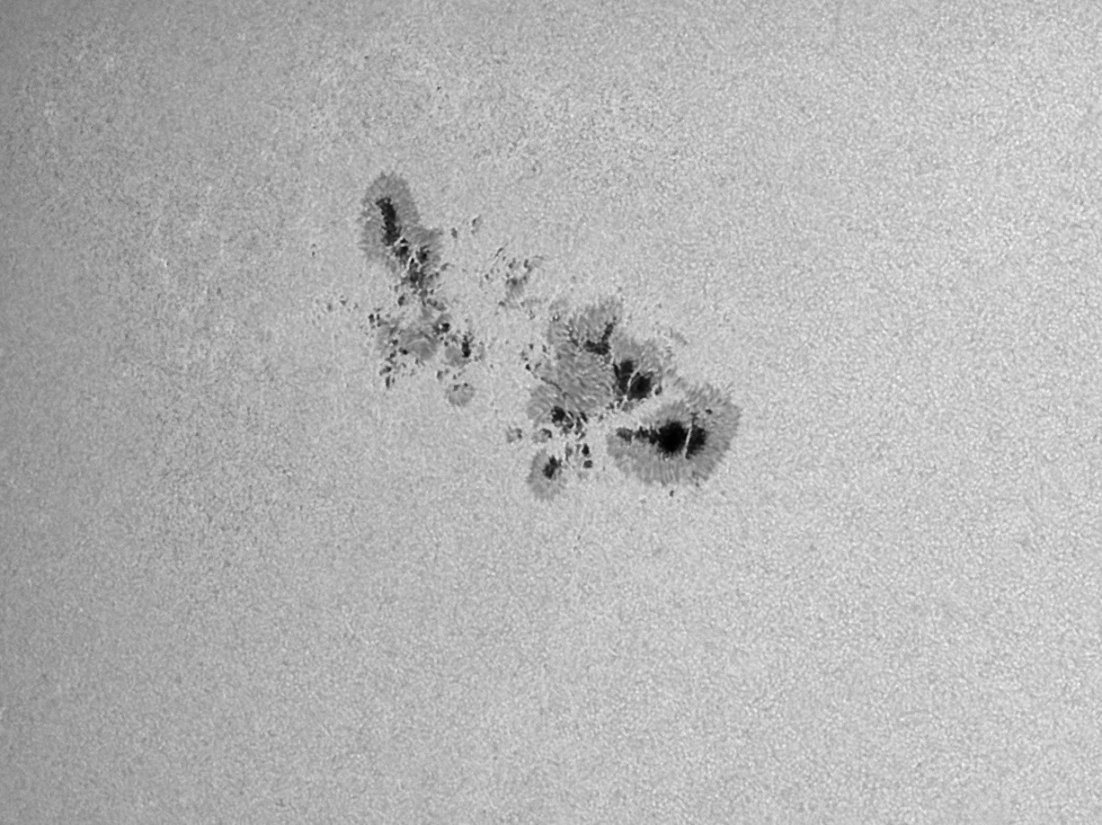 LUNT - Prisme de Herschel LS1.25HW - Ø 31,7mm