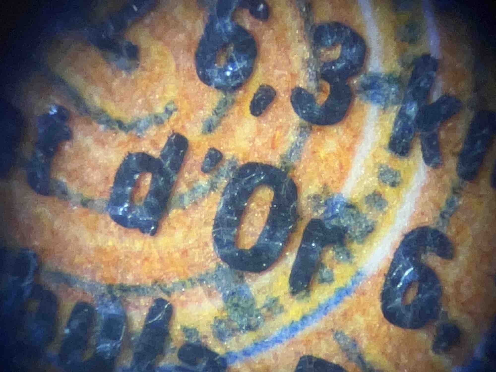 Sightron - Pocket Microscope LED 20-60x