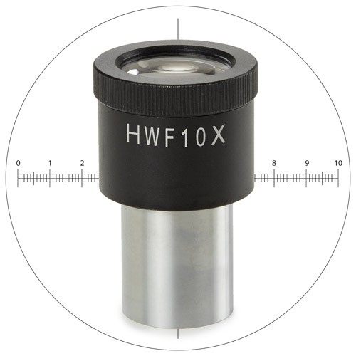 Euromex - Oculaire HWF 10x micromètre 10/100