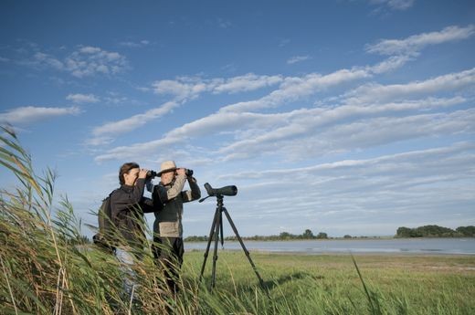Swarovski ATX 30-70x115 + Wood 1 Tripod