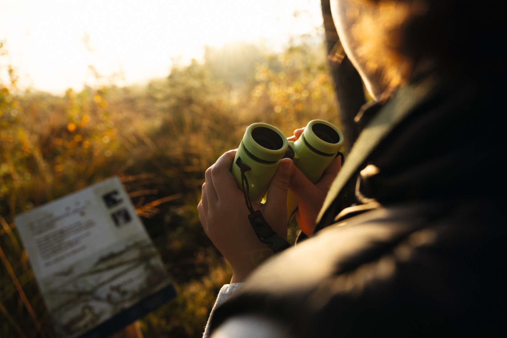 Swarovski MY Junior 7x28 Jungle Green