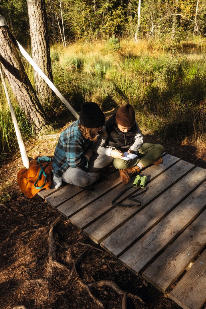 Swarovski MY Junior 7x28 Jungle Green