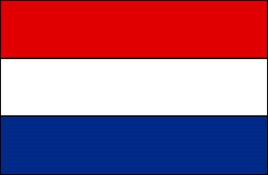 Euromex - Objectif S100x achromatique